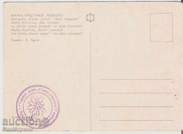 Map Bulgaria The cave "Saeva Dupka" 4 * with price 0.80 BGN | € 0.41 Map Bulgaria The cave "Saeva Dupka" 4 * with price 0.80 BGN | € 0.41