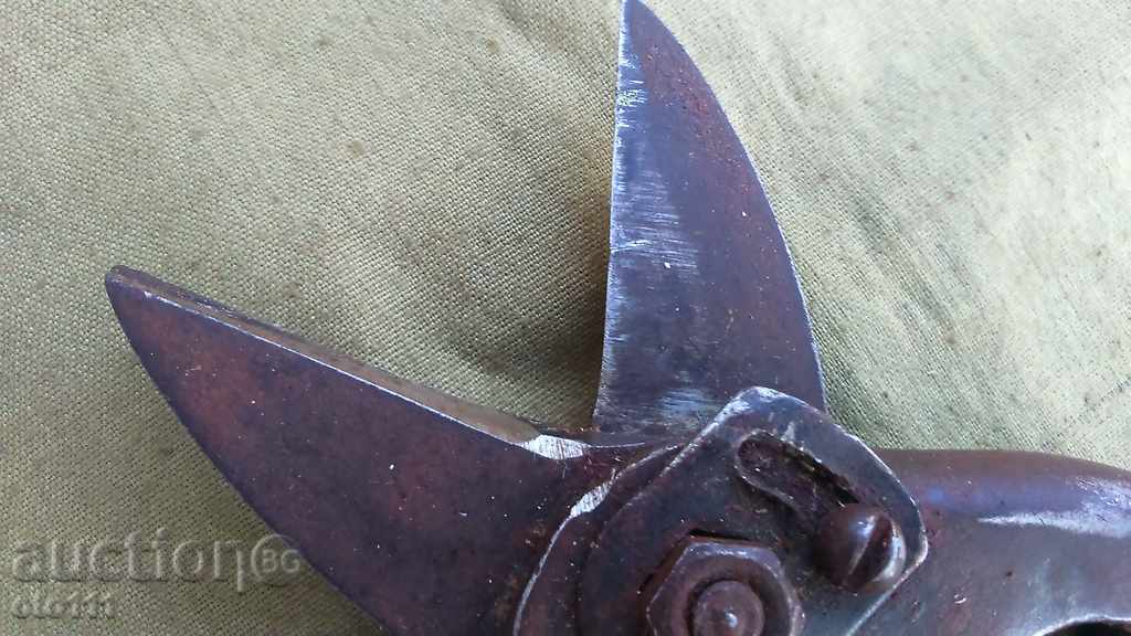 Delivery of OLD HARNESS FOR LAMARINA Delivery of OLD HARNESS FOR LAMARINA