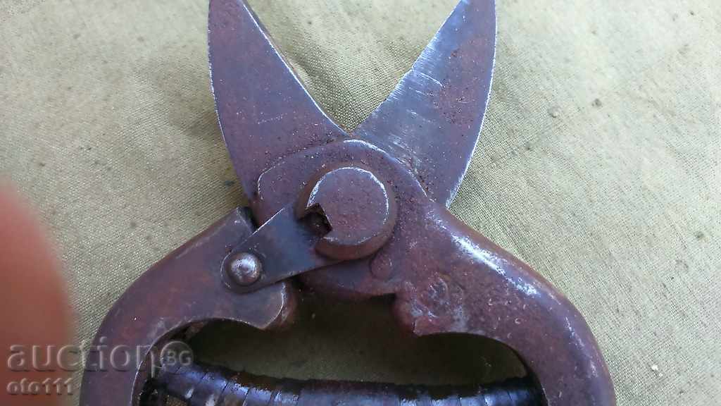 OLD HARNESS FOR LAMARINA - 5 OLD HARNESS FOR LAMARINA - 5