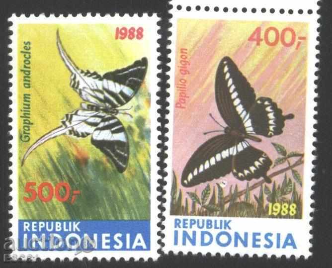 Καθαρίστε τα σήματα Πανίδα Πεταλούδες 1988 από την Ινδονησία