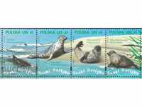 Чисти марки Морска Фауна  Тюлени 2009 от Полша