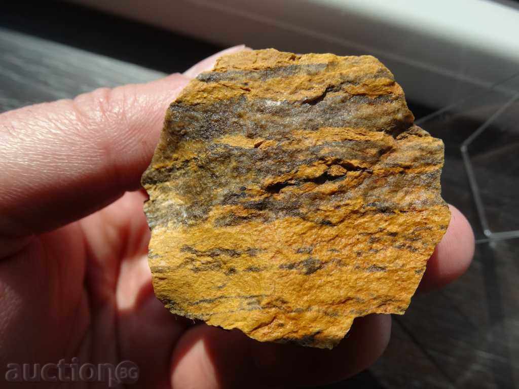 Jasper - 5 Jasper - 5