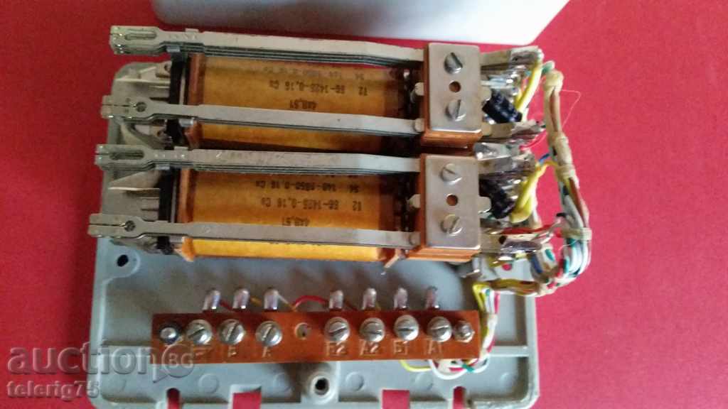 Auction  Duplex Box for Two Post Phones, 60V