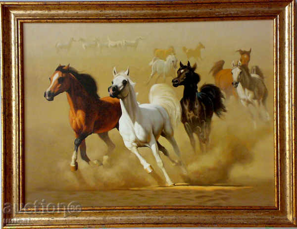 Arabian horses, picture