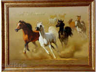 Arabian horses, picture