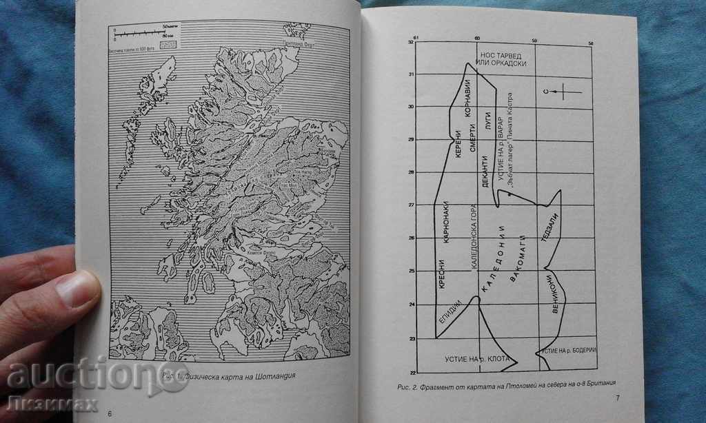 Auction Pits - Isabella Henderson Auction Pits - Isabella Henderson