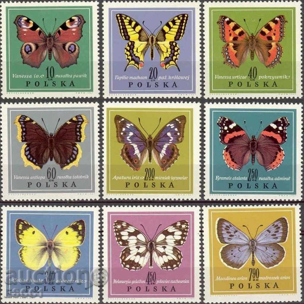 Καθαρίστε τα σήματα Πανίδα έντομα Πεταλούδες 1967 Πολωνία