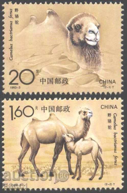 Καθαρίστε τα σήματα Πανίδα Καμήλες 1993 3 Κίνα