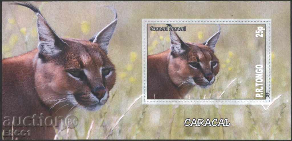 Clean block Wild cats - Caracal 2010 from Tongo