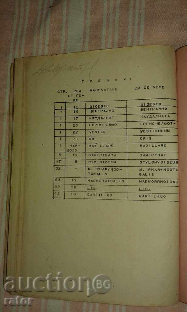 Auction  Heart, arteries and veins + Inspiration - Spalthoholz 1945