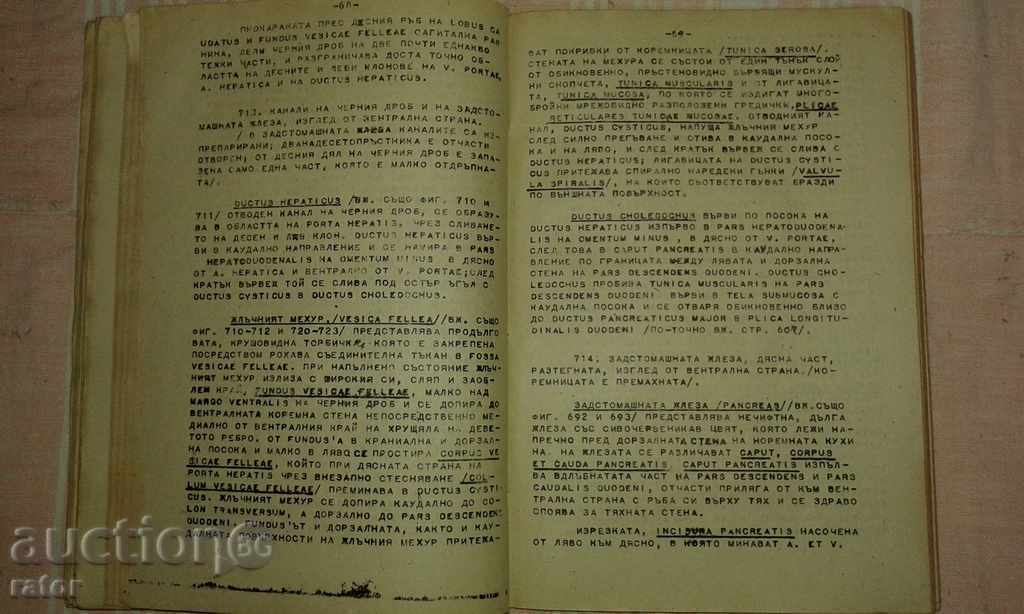 Inima, arterele și venele + Inspirație - Spalthoholz 1945 - 6