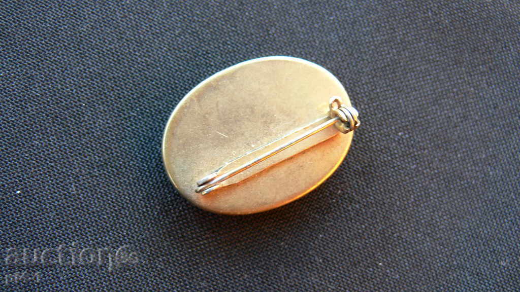 STARA BEAUTIFUL BROSHA with price 30.00 BGN | € 15.34