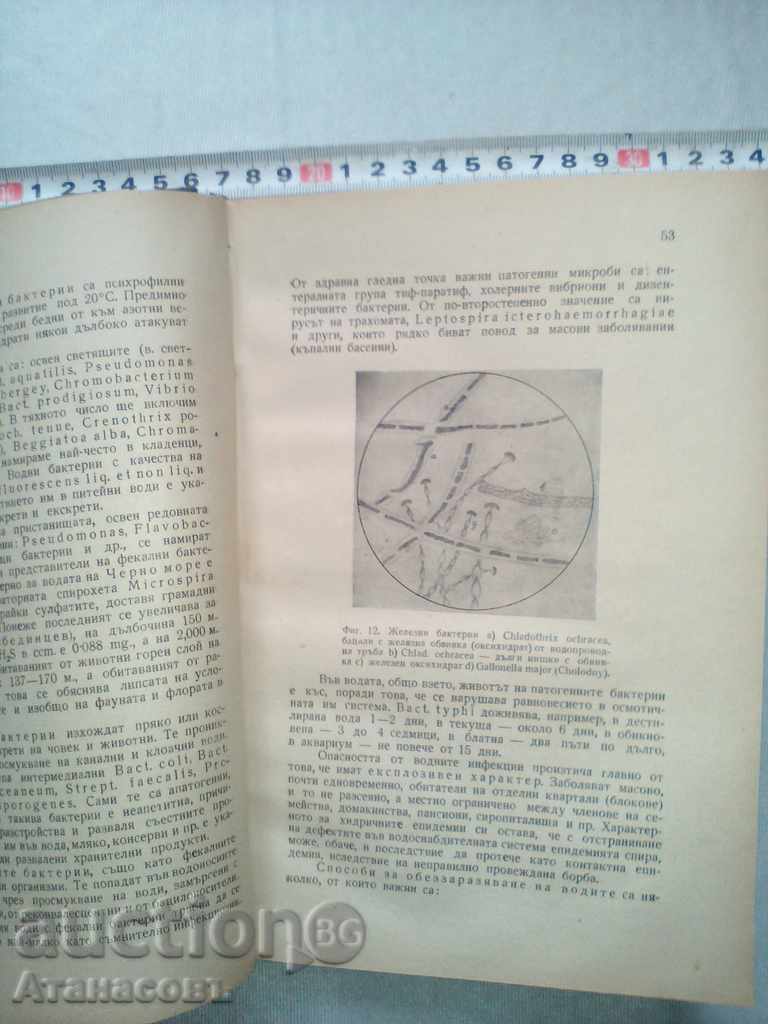 Δημοπρασία Ιατρική Μικροβιολογία Δρ Βλαντιμίρ Markov 1946 Δημοπρασία Ιατρική Μικροβιολογία Δρ Βλαντιμίρ Markov 1946