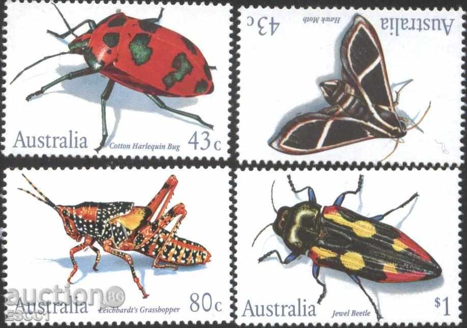 mărcile curate Fauna Insecte din Australia 1991