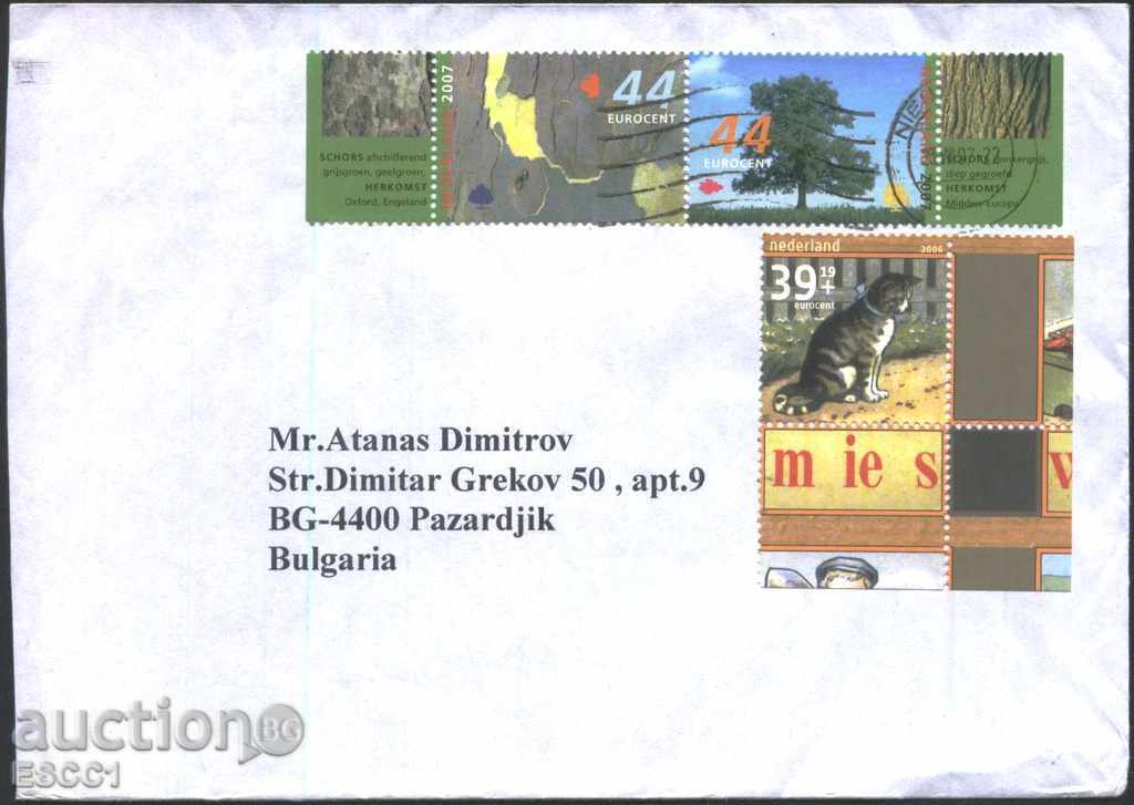 plic cu timbre Călătorit Cat copac 2006 2007 din Țările de Jos