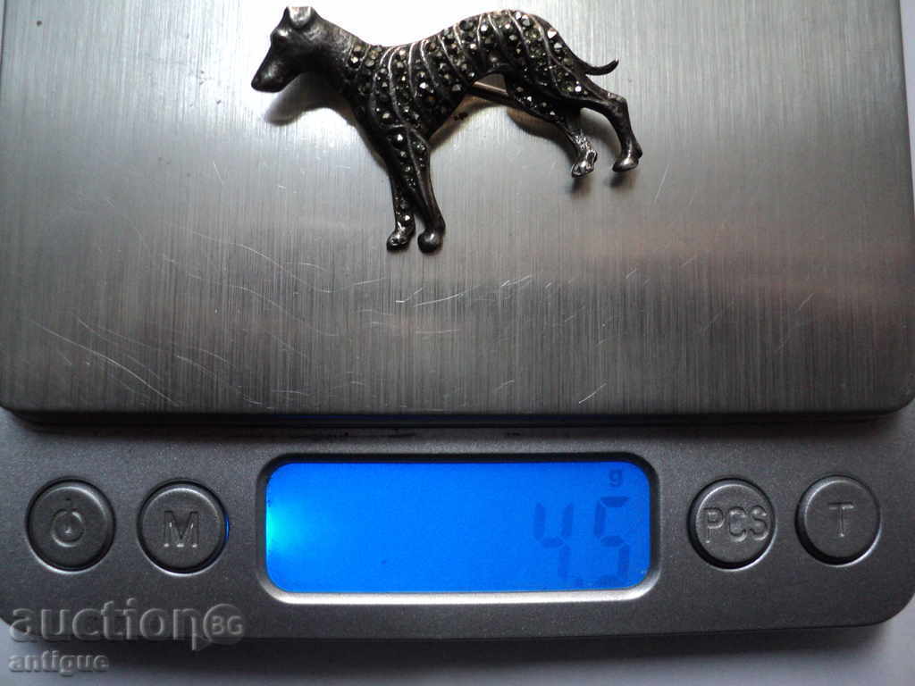 Auction BEAUTIFUL BROWN DOG-MARKETS. Auction BEAUTIFUL BROWN DOG-MARKETS.