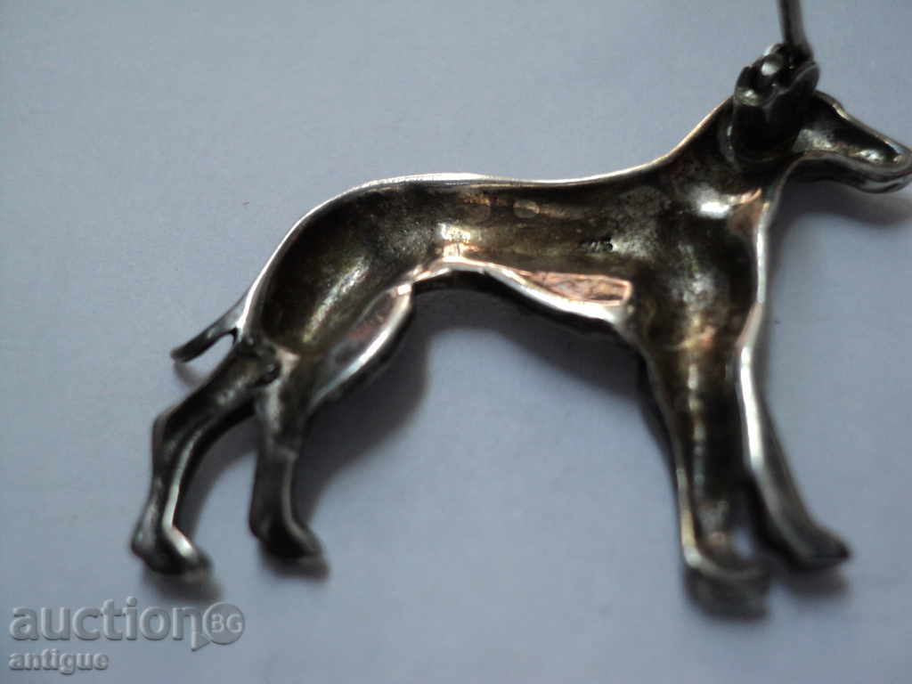 Delivery of BEAUTIFUL BROWN DOG-MARKETS. Delivery of BEAUTIFUL BROWN DOG-MARKETS.