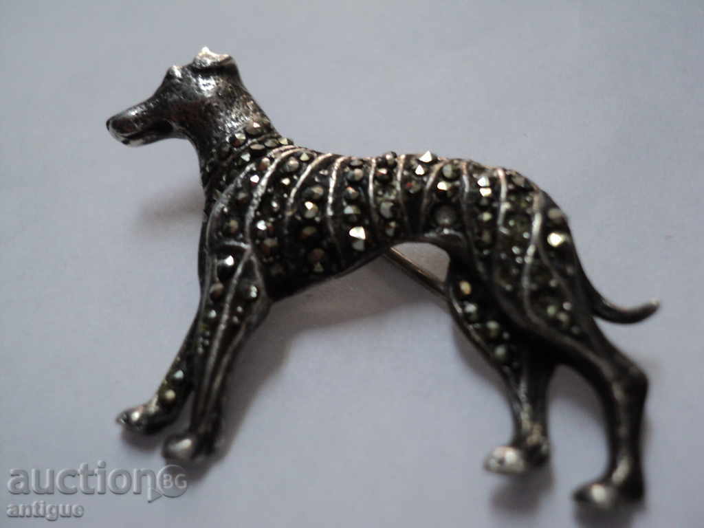 BEAUTIFUL BROWN DOG-MARKETS. - 6 BEAUTIFUL BROWN DOG-MARKETS. - 6