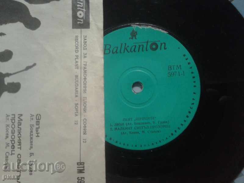 Auction BTM 5971 Sing Shturtsi Auction BTM 5971 Sing Shturtsi