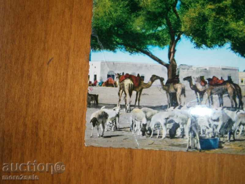 Auction Postcard ADEN - ADEN - YEMEN - 70 YEARS Auction Postcard ADEN - ADEN - YEMEN - 70 YEARS