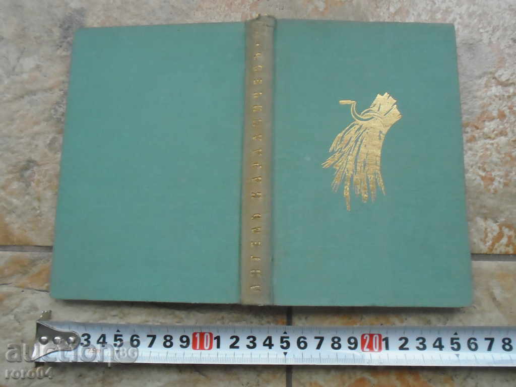 BIRD OF CLAY - ANGEL KARALIYCHEV - 7 BIRD OF CLAY - ANGEL KARALIYCHEV - 7