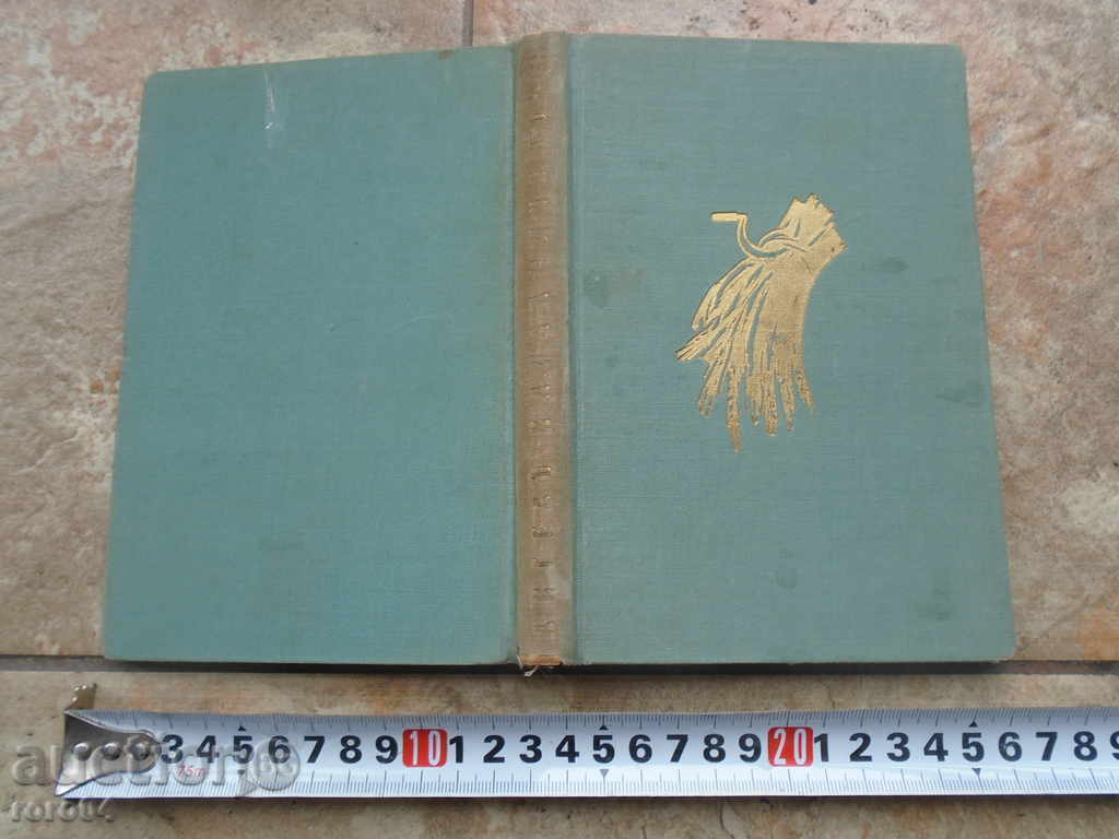 THE RUSSIAN STONE BRIDGE - ANGEL KARALIYCHEV - 7 THE RUSSIAN STONE BRIDGE - ANGEL KARALIYCHEV - 7