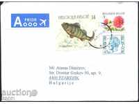 Пътувал  плик с марки Риба 1990, Цвете 2007 от Белгия
