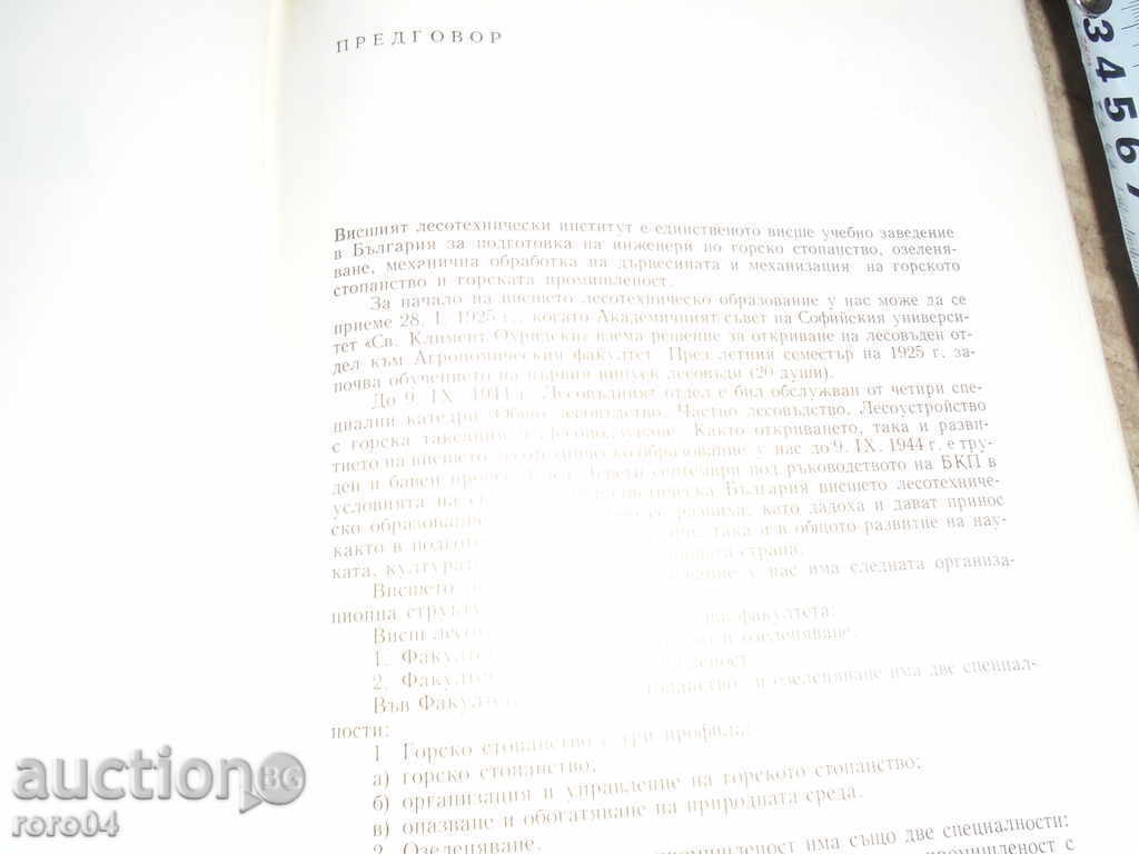 Auction NATIVE FORESTRY Auction NATIVE FORESTRY