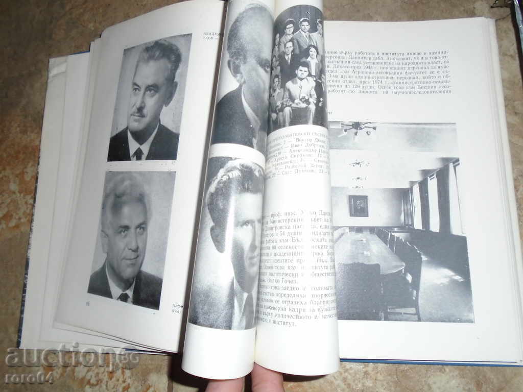 Delivery of NATIVE FORESTRY Delivery of NATIVE FORESTRY