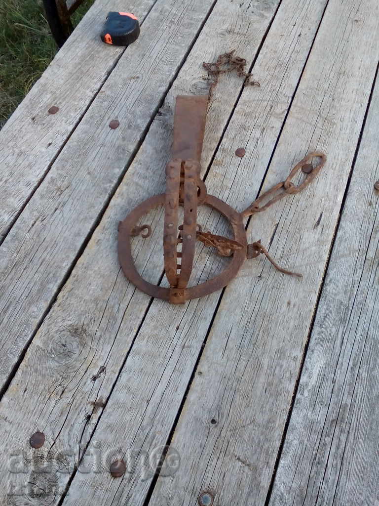 Auction Wolf trap / clue Auction Wolf trap / clue