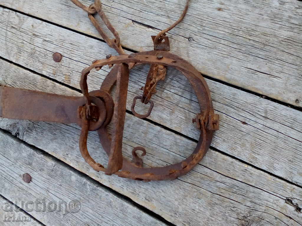 Delivery of Wolf trap / clue Delivery of Wolf trap / clue