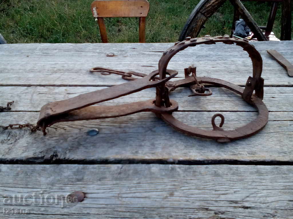 Wolf trap / clue - 5 Wolf trap / clue - 5