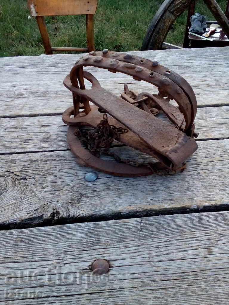 Wolf trap / clue - 6 Wolf trap / clue - 6