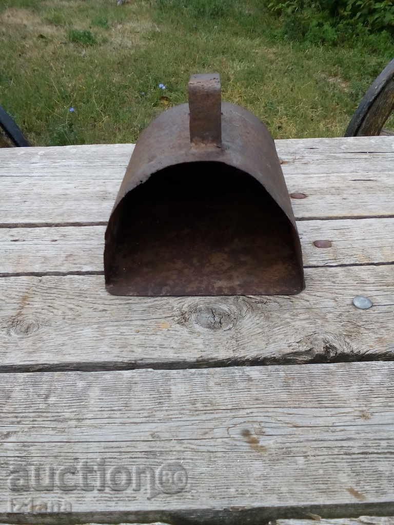 An ancient marigold - 5 An ancient marigold - 5