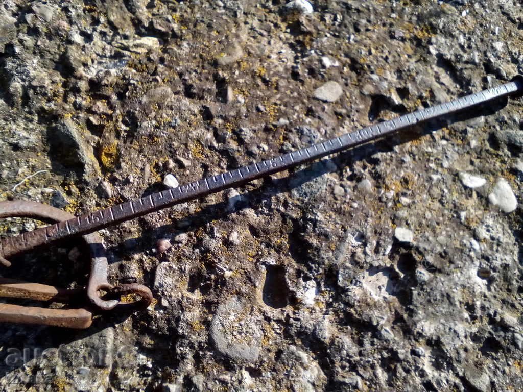 Ancient scales - 6 Ancient scales - 6