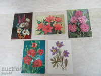 5 br.POShtENSKI κάρτα «λουλούδια» - η ΕΣΣΔ