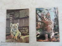 2 pcs. RUSSIAN POSTAL CARDS "BASKET AND TIGRENOAK"
