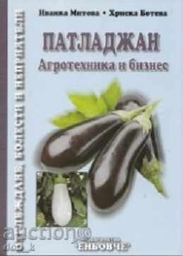 Eggplant. Agro-technology and business