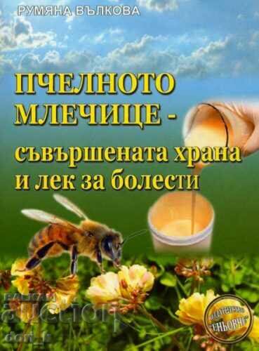 Пчелното млечице - съвършената храна и лек за болести