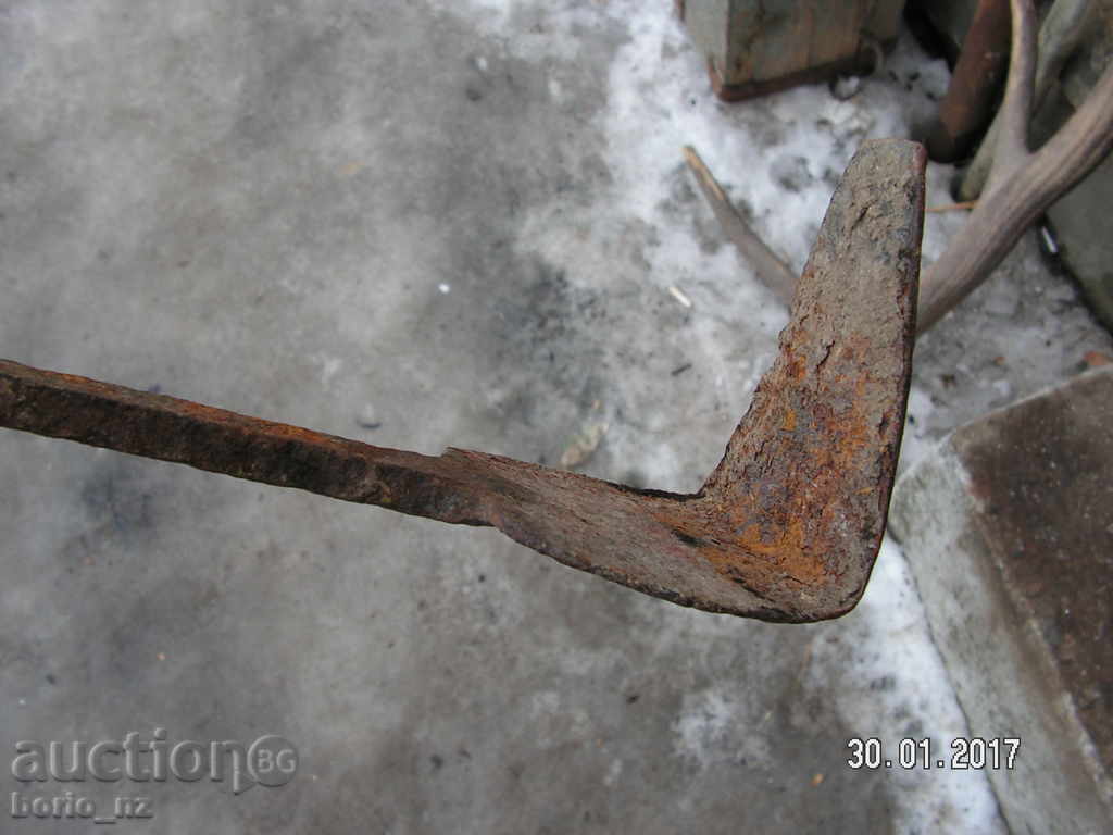 Auction 7413. STAR COVENANT ROWEN MALK Auction 7413. STAR COVENANT ROWEN MALK