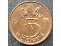 5 cenți 1973. Olanda