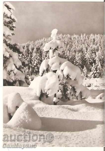 Postcard Bulgaria Winter Landscape 9 *