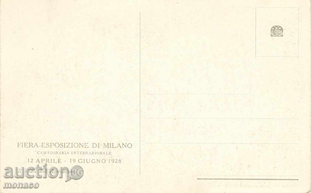 Antique postcard - Milan, exhibition with price 3.90 BGN | € 1.99 Antique postcard - Milan, exhibition with price 3.90 BGN | € 1.99