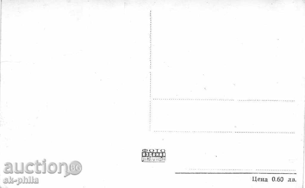 Old postcard artists - Gina Lollobridge with price 1.20 BGN | € 0.61 Old postcard artists - Gina Lollobridge with price 1.20 BGN | € 0.61