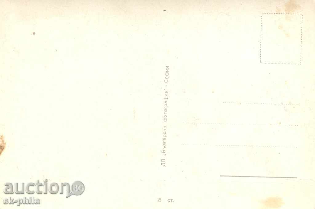 Old postcard artists - Marie Tiroczyk with price 0.50 BGN | € 0.26