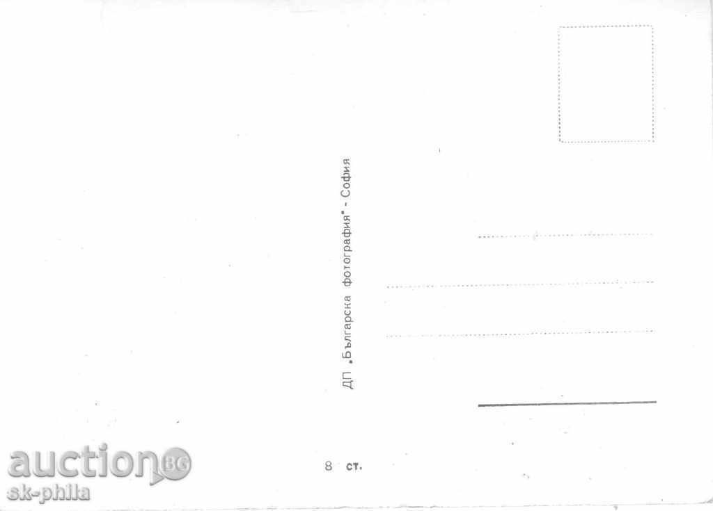 Old postcard artists - Marie Tiroczyk with price 0.90 BGN | € 0.46 Old postcard artists - Marie Tiroczyk with price 0.90 BGN | € 0.46