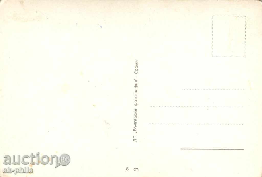 Old postcard artists - Marie Tiroczyk with price 0.80 BGN | € 0.41 Old postcard artists - Marie Tiroczyk with price 0.80 BGN | € 0.41