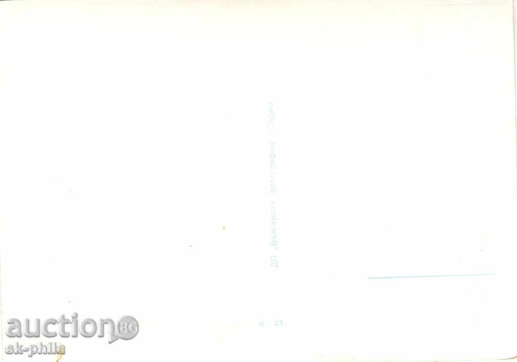 Old postcard artists - Maurice Rooney with price 1.10 BGN | € 0.56 Old postcard artists - Maurice Rooney with price 1.10 BGN | € 0.56