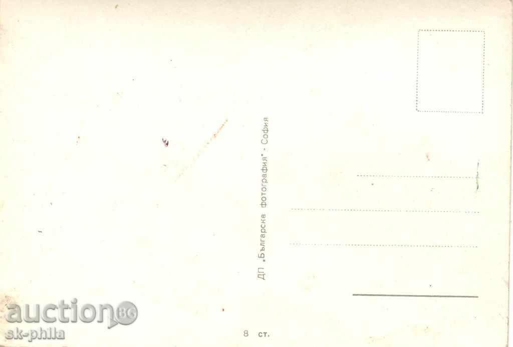 Old postcard artists - Evelyn Kron, GDR with price 0.90 BGN | € 0.46 Old postcard artists - Evelyn Kron, GDR with price 0.90 BGN | € 0.46