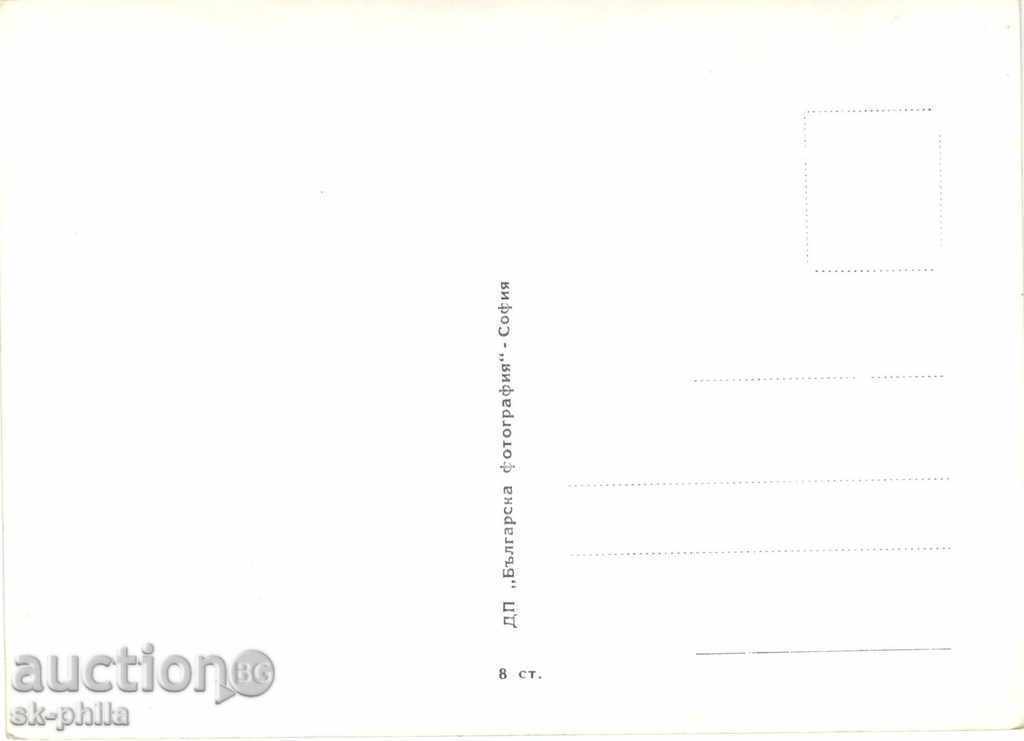 Old postcard artists - Leslie Caron with price 1.30 BGN | € 0.66